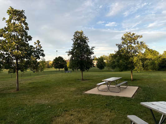 Lincoln Dog Park